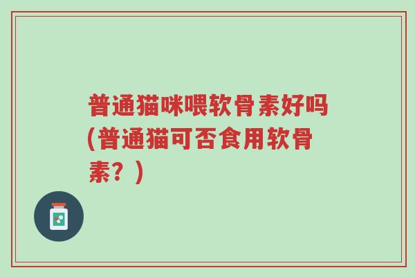 普通猫咪喂软骨素好吗(普通猫可否食用软骨素?)-第1张图片-超越 普通猫咪喂软骨素好吗(普通猫可否食用软骨素?)-第1张图片-超越