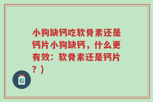 小狗缺钙吃软骨素还是钙片小狗缺钙,什么更有效:软骨素还是钙片?)-第1张图片-超越 小狗缺钙吃软骨素还是钙片小狗缺钙,什么更有效:软骨素还是钙片?)-第1张图片-超越