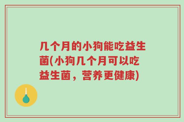 几个月的小狗能吃益生菌(小狗几个月可以吃益生菌,营养更健康)-第1张图片-超越 几个月的小狗能吃益生菌(小狗几个月可以吃益生菌,营养更健康)-第1张图片-超越