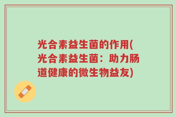 光合素益生菌的作用(光合素益生菌:助力肠道健康的微生物益友)-第1张图片-超越 光合素益生菌的作用(光合素益生菌:助力肠道健康的微生物益友)-第1张图片-超越