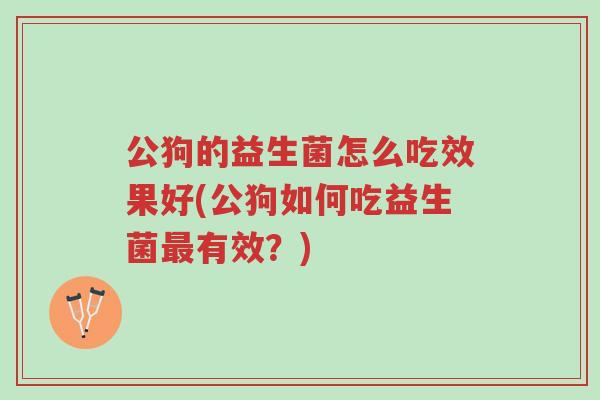 公狗的益生菌怎么吃效果好(公狗如何吃益生菌最有效?)-第1张图片-超越 公狗的益生菌怎么吃效果好(公狗如何吃益生菌最有效?)-第1张图片-超越