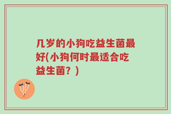 几岁的小狗吃益生菌最好(小狗何时最适合吃益生菌?)-第1张图片-超越 几岁的小狗吃益生菌最好(小狗何时最适合吃益生菌?)-第1张图片-超越