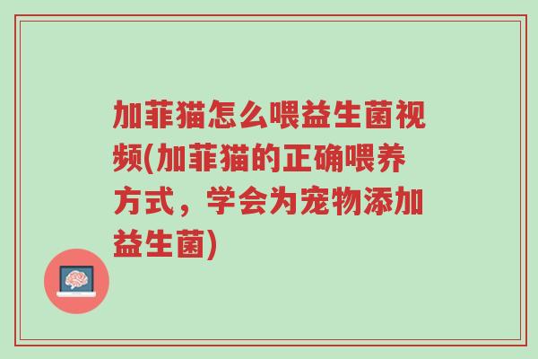 加菲猫怎么喂益生菌视频(加菲猫的正确喂养方式,学会为宠物添加益生菌)-第1张图片-超越 加菲猫怎么喂益生菌视频(加菲猫的正确喂养方式,学会为宠物添加益生菌)-第1张图片-超越