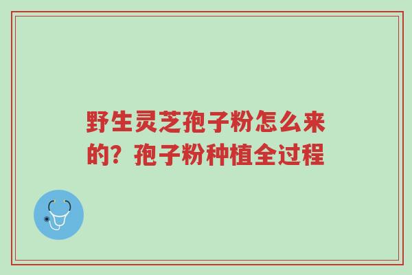 野生灵芝孢子粉怎么来的?孢子粉种植全过程-第1张图片-超越 野生灵芝孢子粉怎么来的?孢子粉种植全过程-第1张图片-超越