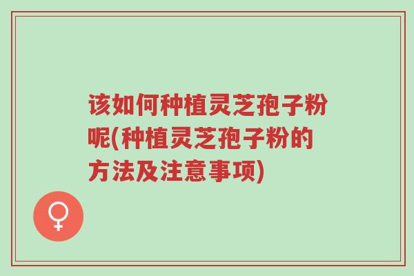该如何种植灵芝孢子粉呢(种植灵芝孢子粉的方法及注意事项)-第1张图片-超越 该如何种植灵芝孢子粉呢(种植灵芝孢子粉的方法及注意事项)-第1张图片-超越