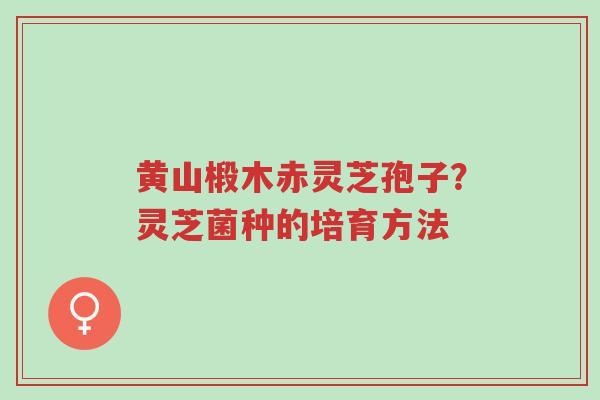 黄山椴木赤灵芝孢子?灵芝菌种的培育方法-第1张图片-超越 黄山椴木赤灵芝孢子?灵芝菌种的培育方法-第1张图片-超越