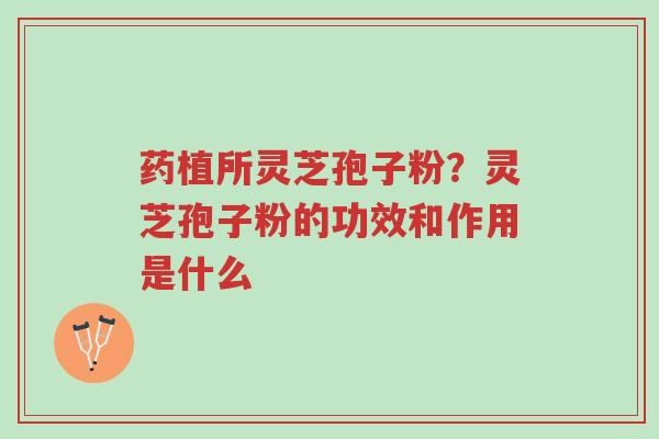 药植所灵芝孢子粉?灵芝孢子粉的功效和作用是什么-第1张图片-超越 药植所灵芝孢子粉?灵芝孢子粉的功效和作用是什么-第1张图片-超越