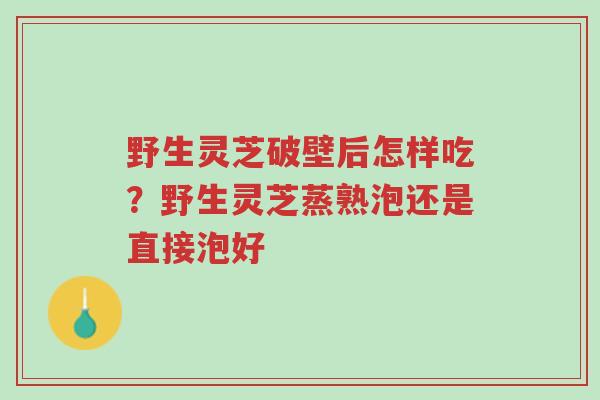 野生灵芝破壁后怎样吃?野生灵芝蒸熟泡还是直接泡好-第1张图片-超越 野生灵芝破壁后怎样吃?野生灵芝蒸熟泡还是直接泡好-第1张图片-超越