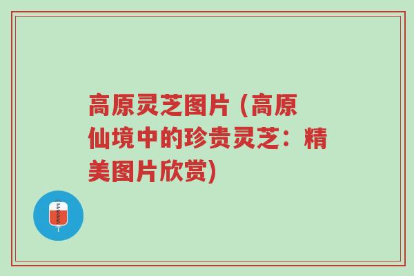 高原灵芝图片 (高原仙境中的珍贵灵芝:精美图片欣赏)-第1张图片-超越 高原灵芝图片 (高原仙境中的珍贵灵芝:精美图片欣赏)-第1张图片-超越