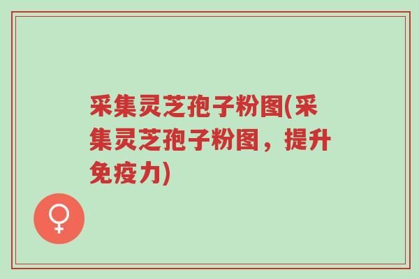 采集灵芝孢子粉图(采集灵芝孢子粉图,提升免疫力)-第1张图片-超越 采集灵芝孢子粉图(采集灵芝孢子粉图,提升免疫力)-第1张图片-超越