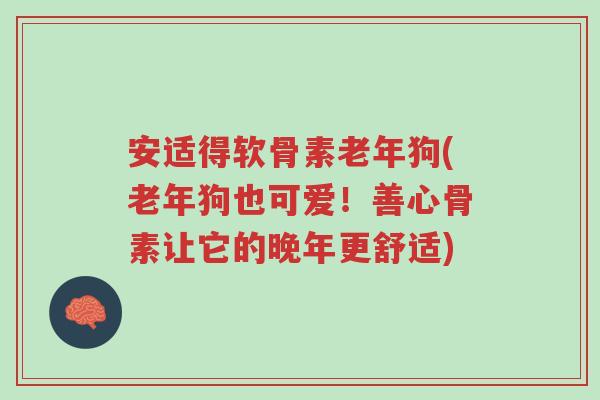 安适得软骨素老年狗(老年狗也可爱!善心骨素让它的晚年更舒适)-第1张图片-超越 安适得软骨素老年狗(老年狗也可爱!善心骨素让它的晚年更舒适)-第1张图片-超越