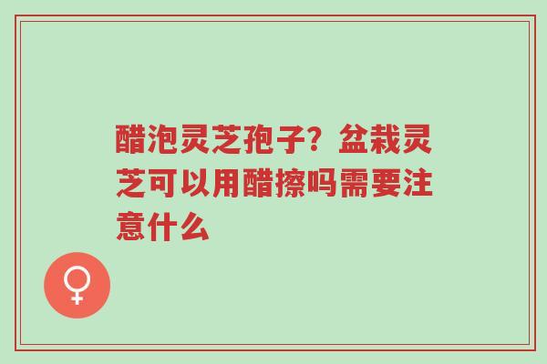 醋泡灵芝孢子?盆栽灵芝可以用醋擦吗需要注意什么-第1张图片-超越 醋泡灵芝孢子?盆栽灵芝可以用醋擦吗需要注意什么-第1张图片-超越