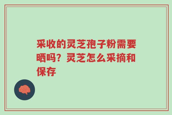 采收的灵芝孢子粉需要晒吗？灵芝怎么采摘和保存-第1张图片-超越