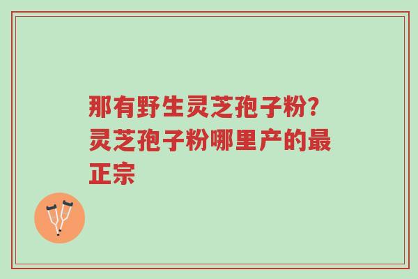 那有野生灵芝孢子粉？灵芝孢子粉哪里产的最正宗-第1张图片-超越