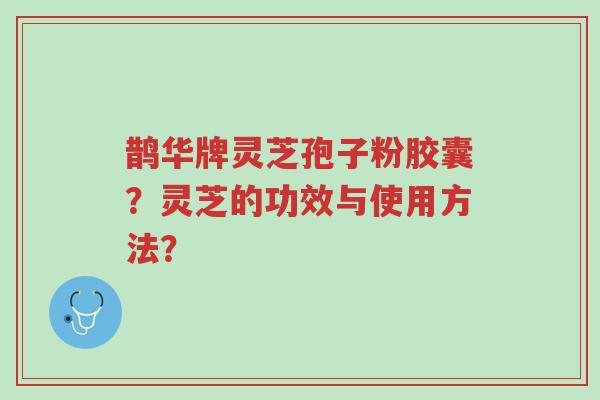 鹊华牌灵芝孢子粉胶囊?灵芝的功效与使用方法?-第1张图片-超越 鹊华牌灵芝孢子粉胶囊?灵芝的功效与使用方法?-第1张图片-超越