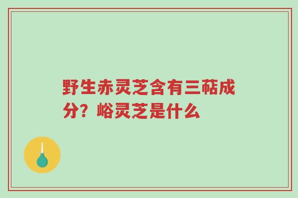 野生赤灵芝含有三萜成分？峪灵芝是什么-第1张图片-超越