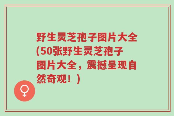 野生灵芝孢子图片大全(50张野生灵芝孢子图片大全,震撼呈现自然奇观!)-第1张图片-超越 野生灵芝孢子图片大全(50张野生灵芝孢子图片大全,震撼呈现自然奇观!)-第1张图片-超越