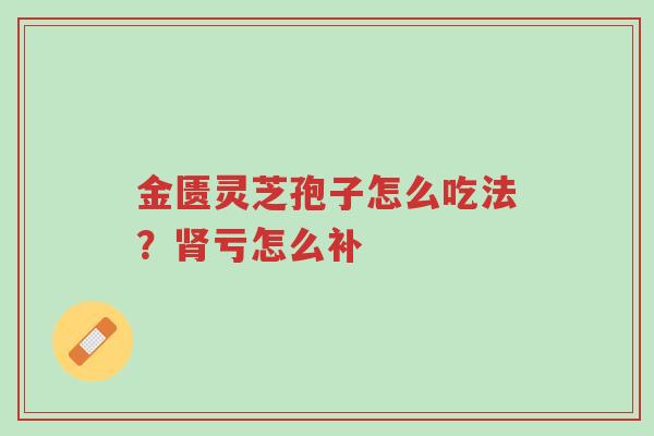 金匮灵芝孢子怎么吃法?肾亏怎么补-第1张图片-超越 金匮灵芝孢子怎么吃法?肾亏怎么补-第1张图片-超越