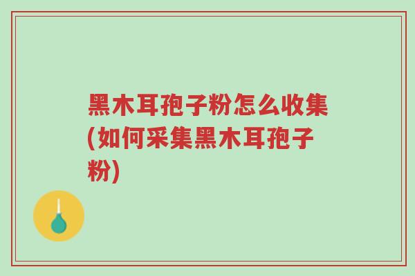 黑木耳孢子粉怎么收集(如何采集黑木耳孢子粉)-第1张图片-超越 黑木耳孢子粉怎么收集(如何采集黑木耳孢子粉)-第1张图片-超越