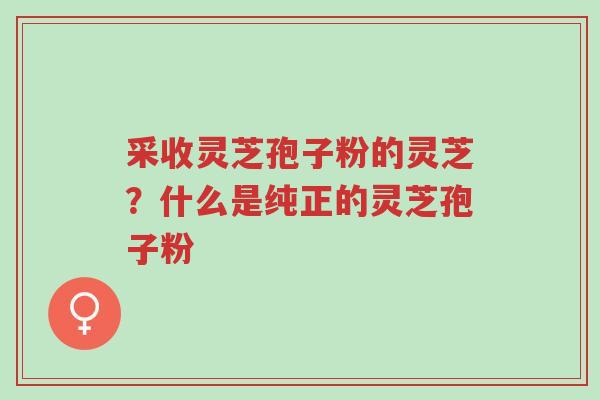 采收灵芝孢子粉的灵芝?什么是纯正的灵芝孢子粉-第1张图片-超越 采收灵芝孢子粉的灵芝?什么是纯正的灵芝孢子粉-第1张图片-超越