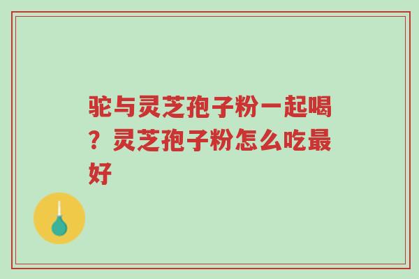 驼与灵芝孢子粉一起喝?灵芝孢子粉怎么吃最好-第1张图片-超越 驼与灵芝孢子粉一起喝?灵芝孢子粉怎么吃最好-第1张图片-超越
