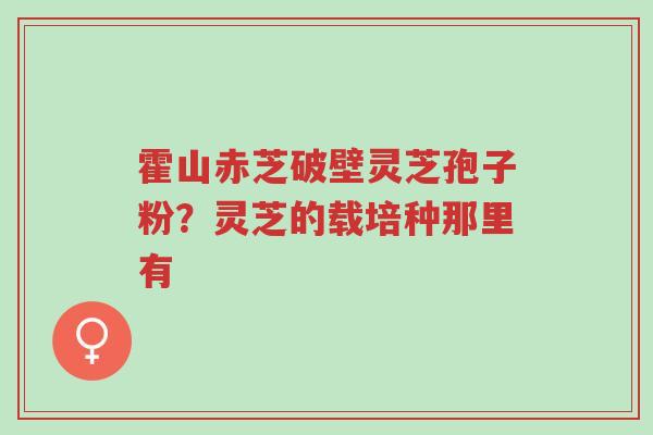 霍山赤芝破壁灵芝孢子粉?灵芝的载培种那里有-第1张图片-超越 霍山赤芝破壁灵芝孢子粉?灵芝的载培种那里有-第1张图片-超越