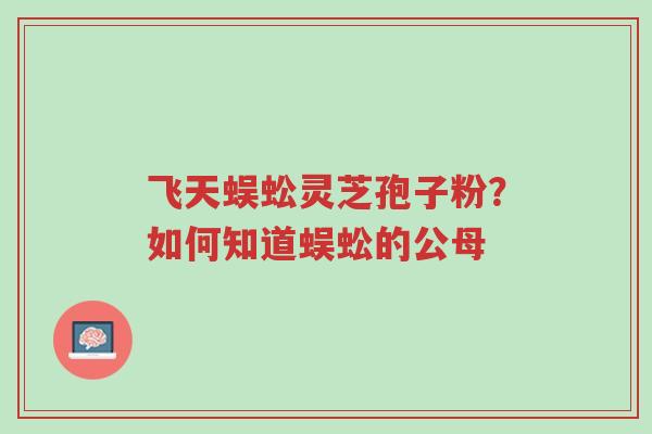 飞天蜈蚣灵芝孢子粉?如何知道蜈蚣的公母-第1张图片-超越 飞天蜈蚣灵芝孢子粉?如何知道蜈蚣的公母-第1张图片-超越