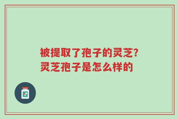 被提取了孢子的灵芝?灵芝孢子是怎么样的-第1张图片-超越 被提取了孢子的灵芝?灵芝孢子是怎么样的-第1张图片-超越
