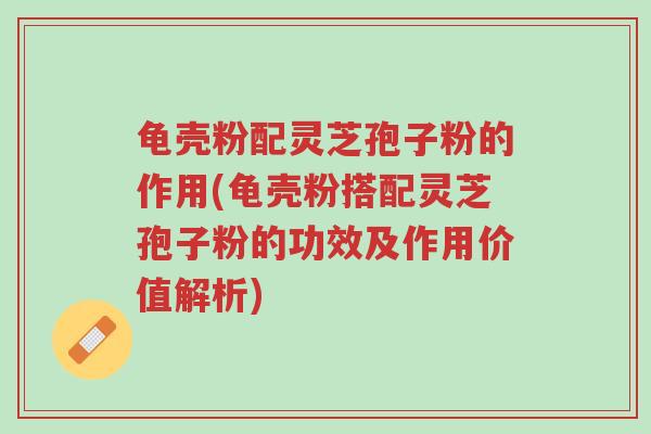 龟壳粉配灵芝孢子粉的作用(龟壳粉搭配灵芝孢子粉的功效及作用价值解析)-第1张图片-超越 龟壳粉配灵芝孢子粉的作用(龟壳粉搭配灵芝孢子粉的功效及作用价值解析)-第1张图片-超越