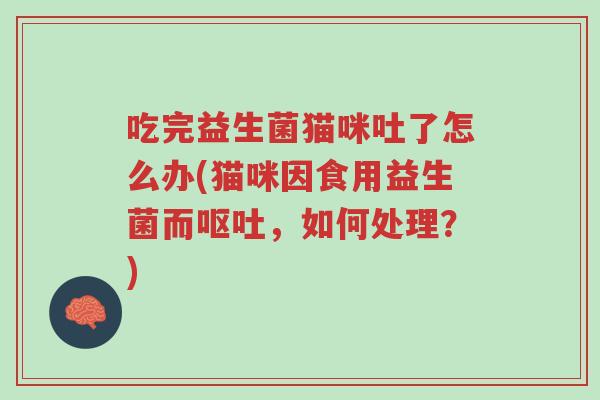 吃完益生菌猫咪吐了怎么办(猫咪因食用益生菌而呕吐,如何处理?)-第1张图片-超越 吃完益生菌猫咪吐了怎么办(猫咪因食用益生菌而呕吐,如何处理?)-第1张图片-超越