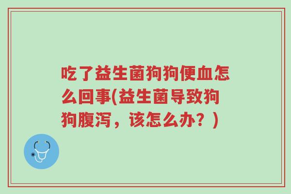 吃了益生菌狗狗便血怎么回事(益生菌导致狗狗腹泻,该怎么办?)-第1张图片-超越 吃了益生菌狗狗便血怎么回事(益生菌导致狗狗腹泻,该怎么办?)-第1张图片-超越