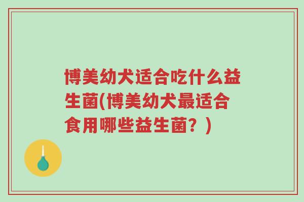博美幼犬适合吃什么益生菌(博美幼犬最适合食用哪些益生菌?)-第1张图片-超越 博美幼犬适合吃什么益生菌(博美幼犬最适合食用哪些益生菌?)-第1张图片-超越