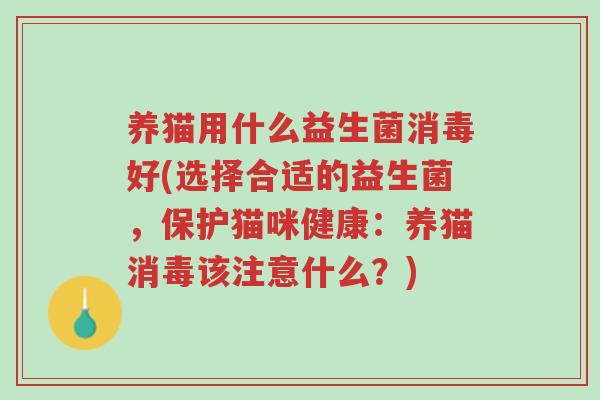 养猫用什么益生菌消毒好(选择合适的益生菌,保护猫咪健康:养猫消毒该注意什么?)-第1张图片-超越 养猫用什么益生菌消毒好(选择合适的益生菌,保护猫咪健康:养猫消毒该注意什么?)-第1张图片-超越