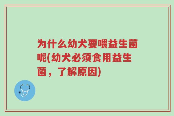 为什么幼犬要喂益生菌呢(幼犬必须食用益生菌,了解原因)-第1张图片-超越 为什么幼犬要喂益生菌呢(幼犬必须食用益生菌,了解原因)-第1张图片-超越
