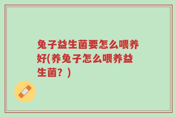 兔子益生菌要怎么喂养好(养兔子怎么喂养益生菌?)-第1张图片-超越 兔子益生菌要怎么喂养好(养兔子怎么喂养益生菌?)-第1张图片-超越