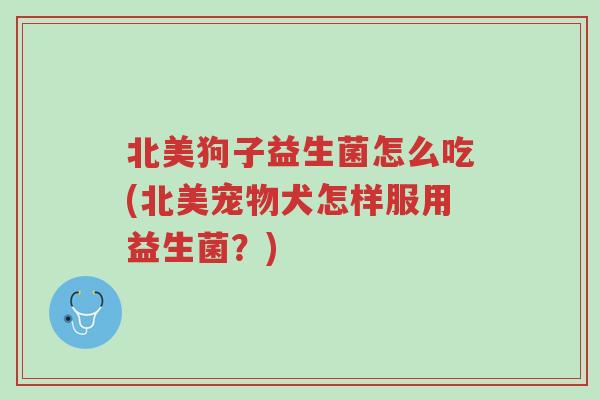 北美狗子益生菌怎么吃(北美宠物犬怎样服用益生菌？)-第1张图片-超越