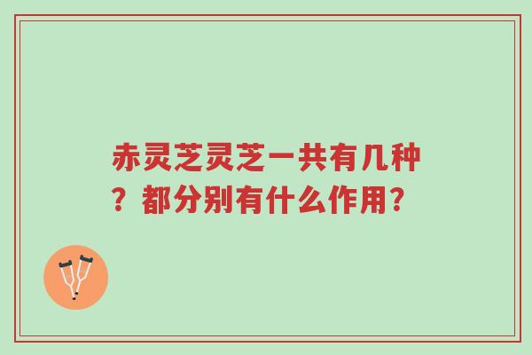 赤灵芝灵芝一共有几种?都分别有什么作用?-第1张图片-超越 赤灵芝灵芝一共有几种?都分别有什么作用?-第1张图片-超越