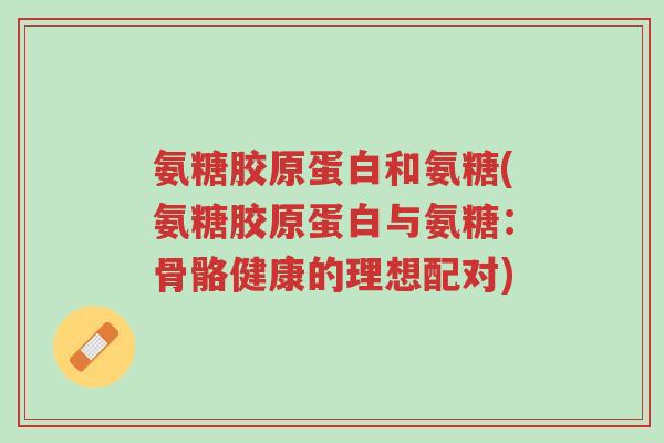 氨糖胶原蛋白和氨糖(氨糖胶原蛋白与氨糖:骨骼健康的理想配对)-第1张图片-超越 氨糖胶原蛋白和氨糖(氨糖胶原蛋白与氨糖:骨骼健康的理想配对)-第1张图片-超越