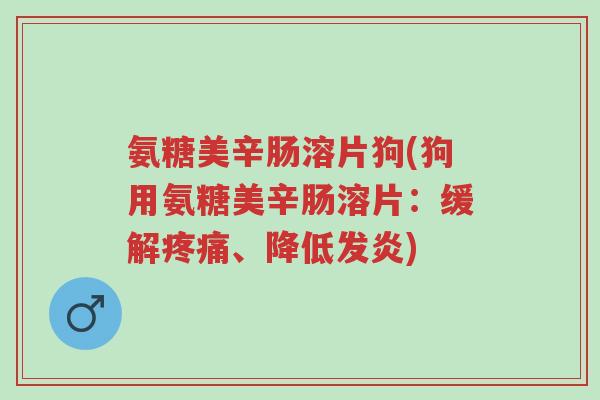 氨糖美辛肠溶片狗(狗用氨糖美辛肠溶片:缓解疼痛、降低发炎)-第1张图片-超越 氨糖美辛肠溶片狗(狗用氨糖美辛肠溶片:缓解疼痛、降低发炎)-第1张图片-超越