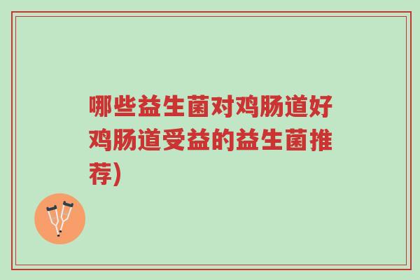哪些益生菌对鸡肠道好鸡肠道受益的益生菌推荐)-第1张图片-超越 哪些益生菌对鸡肠道好鸡肠道受益的益生菌推荐)-第1张图片-超越