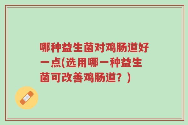 哪种益生菌对鸡肠道好一点(选用哪一种益生菌可改善鸡肠道?)-第1张图片-超越 哪种益生菌对鸡肠道好一点(选用哪一种益生菌可改善鸡肠道?)-第1张图片-超越