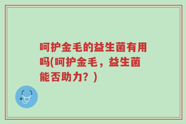 呵护金毛的益生菌有用吗(呵护金毛,益生菌能否助力?)-第1张图片-超越 呵护金毛的益生菌有用吗(呵护金毛,益生菌能否助力?)-第1张图片-超越