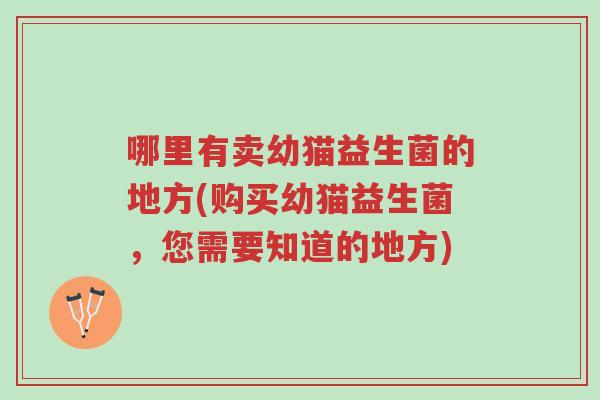 哪里有卖幼猫益生菌的地方(购买幼猫益生菌,您需要知道的地方)-第1张图片-超越 哪里有卖幼猫益生菌的地方(购买幼猫益生菌,您需要知道的地方)-第1张图片-超越