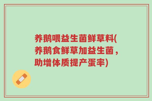 养鹅喂益生菌鲜草料(养鹅食鲜草加益生菌,助增体质提产蛋率)-第1张图片-超越 养鹅喂益生菌鲜草料(养鹅食鲜草加益生菌,助增体质提产蛋率)-第1张图片-超越