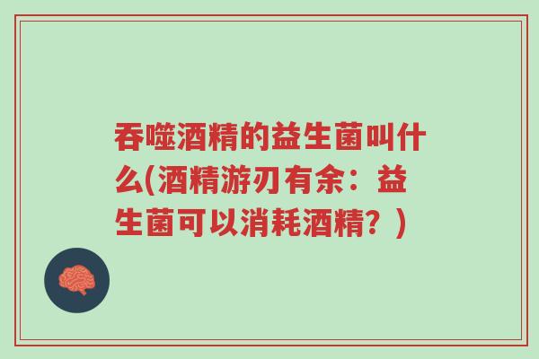 吞噬酒精的益生菌叫什么(酒精游刃有余:益生菌可以消耗酒精?)-第1张图片-超越 吞噬酒精的益生菌叫什么(酒精游刃有余:益生菌可以消耗酒精?)-第1张图片-超越