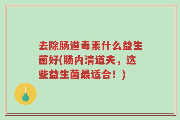 去除肠道毒素什么益生菌好(肠内清道夫,这些益生菌最适合!)-第1张图片-超越 去除肠道毒素什么益生菌好(肠内清道夫,这些益生菌最适合!)-第1张图片-超越