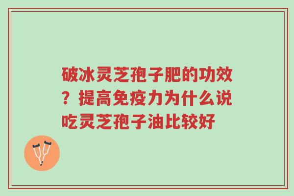破冰灵芝孢子肥的功效？提高免疫力为什么说吃灵芝孢子油比较好-第1张图片-超越
