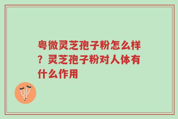 粤微灵芝孢子粉怎么样?灵芝孢子粉对人体有什么作用-第1张图片-超越 粤微灵芝孢子粉怎么样?灵芝孢子粉对人体有什么作用-第1张图片-超越