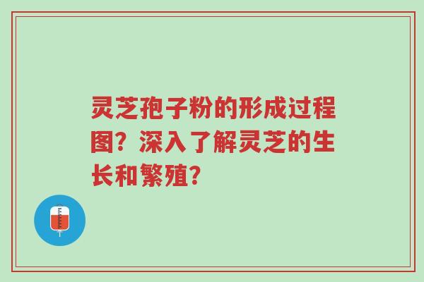 灵芝孢子粉的形成过程图?深入了解灵芝的生长和繁殖?-第1张图片-超越 灵芝孢子粉的形成过程图?深入了解灵芝的生长和繁殖?-第1张图片-超越