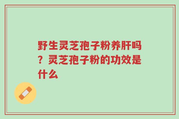 野生灵芝孢子粉养肝吗?灵芝孢子粉的功效是什么-第1张图片-超越 野生灵芝孢子粉养肝吗?灵芝孢子粉的功效是什么-第1张图片-超越